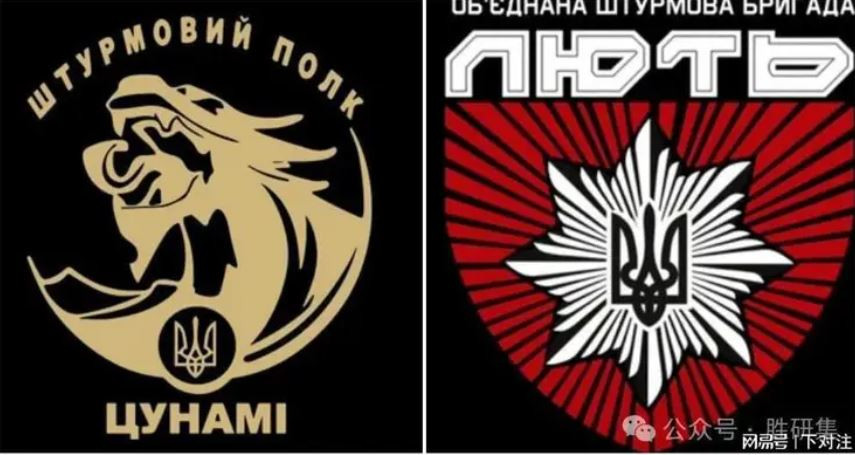 Lữ đoàn Lyut và Tiểu đoàn Sóng thần được chuyển thể từ các đơn vị thuộc lực lượng đặc biệt của cảnh sát Ukraine trước đây và là một trong những đơn vị tinh nhuệ nhất của Quân đội Ukraine hiện nay. Các đơn vị này đã tiến hành nhiều hoạt động đặc biệt trên chiến trường và cả sâu vào trong hậu phương Nga.