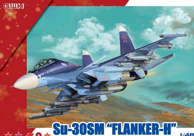 Chiến đấu cơ Su-30SM là một biến thể của Su-30MKI, đây là sản phẩm của Tập đoàn Irkut, được thiết kế giành riêng cho Lực lượng Hàng không Vũ trụ Nga. Máy bay Su-30SM được xếp vào thế hệ 4+, được NATO gọi với tên Flanker-H, do có nhiều thiết kế vượt trội. 