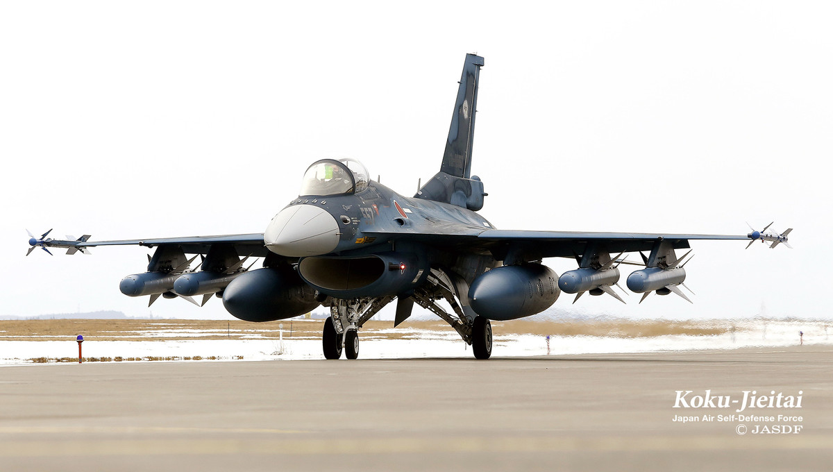 Chiến đấu cơ F-2 có thể sử dụng nhiều loại vũ khí do cả Mỹ và Nhật Bản chế tạo, như tên lửa không đối không tầm trung Raytheon AIM-7F / M Sparrow, tầm ngắn Raytheon AIM-9L Sidewinder và AAM-3 của Mitsubishi Heavy Industries sản xuất.