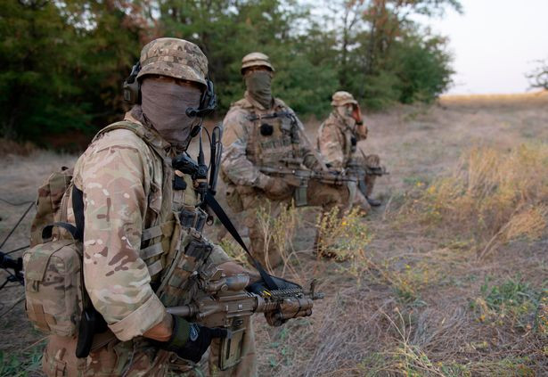 Rõ ràng London đã quyết định không gây chiến với Nga, bất chấp những tuyên bố lớn tiếng khiêu khích trước đó; tuy nhiên việc Quân đội Anh sơ tán công khai khỏi Ukraine, có thể gây tổn hại nghiêm trọng đến danh tiếng của quân đội Anh trong khối NATO.