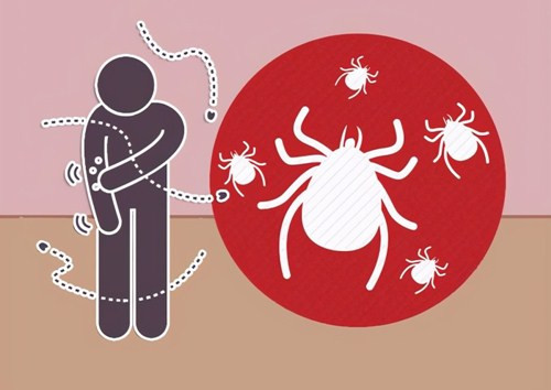 Bi bo ve can, nguoi dan ong suyt chet vi suy da tang-Hinh-2