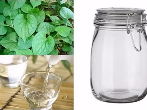 Lam dep da tu rau diep ca va ruou gao