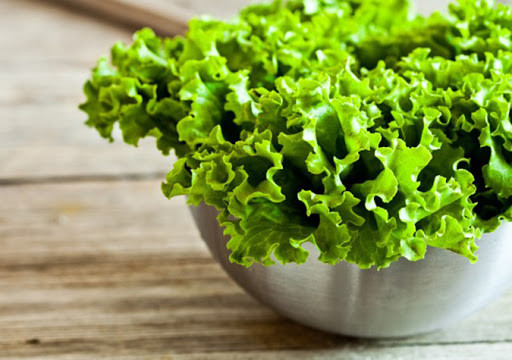 Thêm vào đó, nguồn cung cấp vitamin A và chất beta carotene trong rau xà lách rất dồi dào. Trong thành phần của rau diếp cũng có các chất chống oxy hóa, cực tốt cho cơ thể con người.