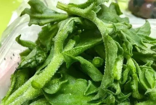 Tại Nhật Bản, người ta đã nghiên cứu và chiết xuất rau băng thành mỹ phẩm vì nó có tác dụng dưỡng ẩm tốt và khả năng bổ sung vitamin tự nhiên nên được những người yêu làm đẹp rất coi trọng.