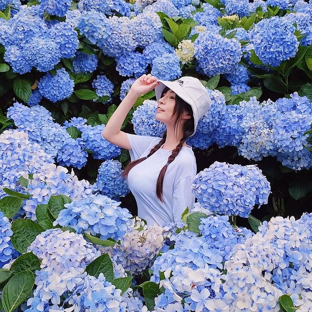 Có thể thấy, ngay cả khi diện đồ kín như bưng, Angela Quách vẫn không giấu được vẻ đẹp quyến rũ, bốc lửa của mình.