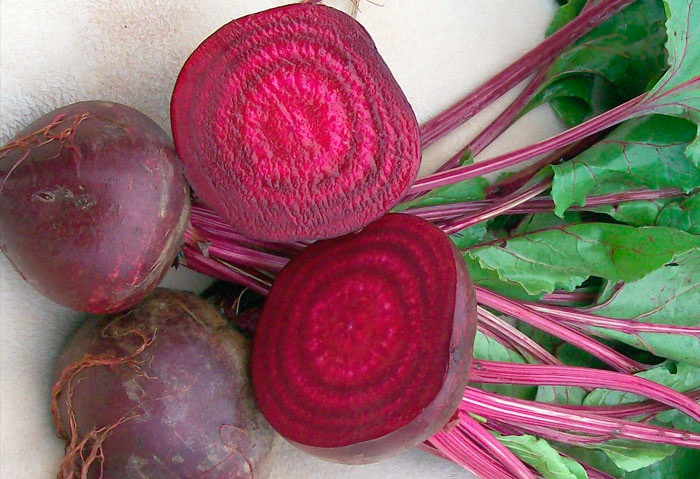 Tuy vậy, những người bị sỏi thận, sỏi mật, hạ huyết áp nên cẩn thận khi sử dụng củ dền. Nếu thấy cơ thể có phản ứng lạ lập tức ngừng ăn, uống củ dền và đến bệnh viện để khám chữa.