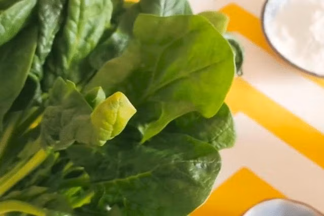 Hôm nay giới thiệu với mọi người món bánh bông lan trứng hấp rau mồng tơi, vừa ngon, vừa giữ được hương vị lại tăng thêm cảm giác mềm mịn. Nguyên liệu gồm có 150 gram rau mồng tơi, 25 gram tinh bột ngô, ba quả trứng, một chút tỏi băm nhỏ. Phụ liệu cần có là dầu hào, muối, tinh chất gà, xì dầu nhạt, dấm, dầu mè vừa đủ.