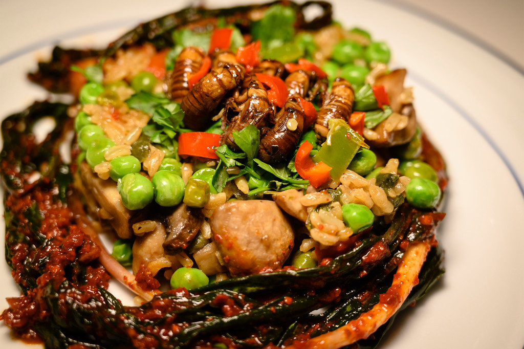 Nhiều món ăn chính được trang trí bằng ve sầu trên bề mặt, thậm chí ve sầu còn được bọc trong sô cô la để làm sô cô la ve sầu và các món tráng miệng khác.