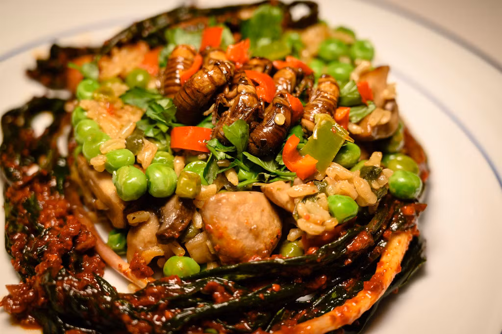 Nhiều món ăn chính được trang trí bằng ve sầu trên bề mặt, thậm chí ve sầu còn được bọc trong sô cô la để làm sô cô la ve sầu và các món tráng miệng khác.