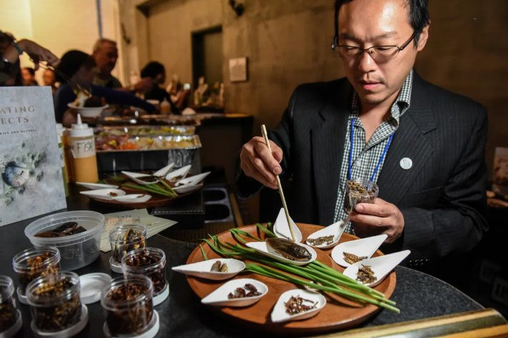 Một số khác cầu kỳ hơn còn chế biến món sốt ve sầu ngon, đó là trộn khoai tây nghiền, bơ với muối và tiêu, vắt một ít chanh lên trên, phi thơm hành tím, ớt jalapeno, tỏi, cuối cùng dùng với ve sầu và ăn cùng nhau.