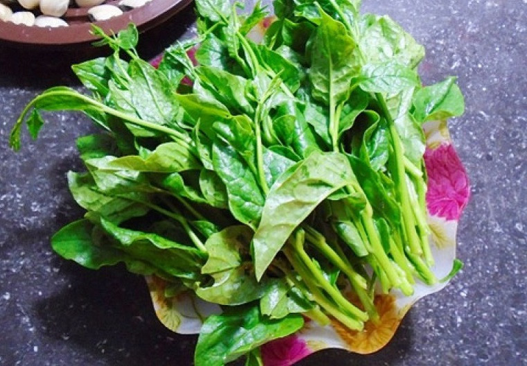 Ăn rau mùng tơi thường xuyên có thể giúp lợi tiểu, tán nhiệt, giải độc, đẹp da, trị rôm sảy, mụn nhọt.