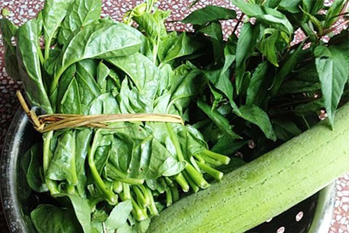 Thế nhưng, nếu ăn rau mùng tơi không đúng cách hoặc lạm dụng loại rau này, chắc chắn sẽ chỉ có hại mà không có lợi.