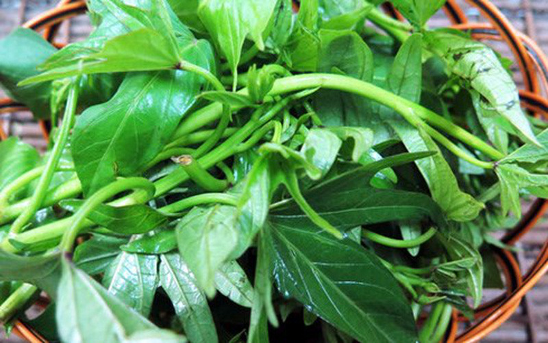 Thứ bảy là rau khoai lang, có chứa tới 180mg can xi chỉ trong một nhúm nhỏ. Không chỉ thế, rau khoai lang còn chứa hàm lượng vitamin B1, B2 vượt trội, giúp người ăn có nhiều khoáng chất hơn.