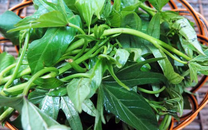 Thứ bảy là rau khoai lang, có chứa tới 180mg can xi chỉ trong một nhúm nhỏ. Không chỉ thế, rau khoai lang còn chứa hàm lượng vitamin B1, B2 vượt trội, giúp người ăn có nhiều khoáng chất hơn.