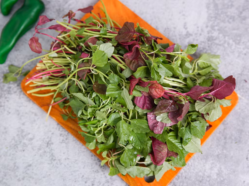 Thứ tám là rau dền, có từ 178 mg - 187 mg canxi. Tuy vậy, giống như rau muống, rau dền lại có nhiều axit oxalic, nên ăn khi chín, không nên ăn sống.