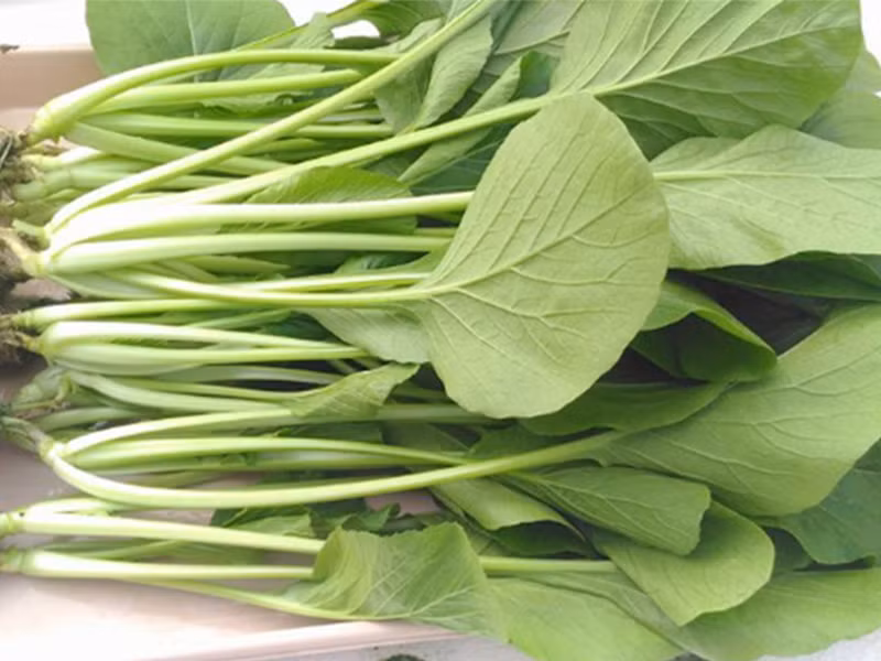 Thứ hai, cải ngọt, đây là loại rau có chứa tới 117 mg canxi trong khoảng 350g - 500g, nó cũng có thể cung cấp một lượng chất xơ nhất định để ngăn ngừa táo bón.