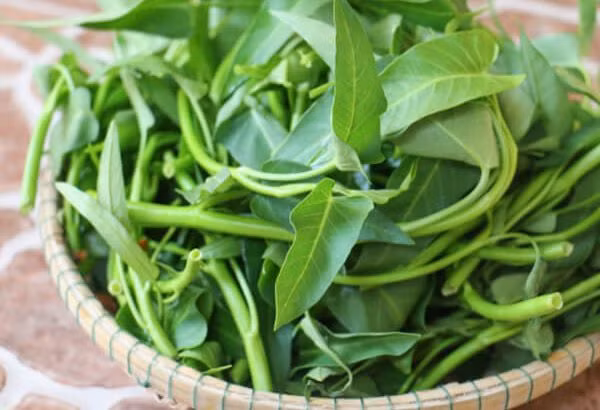 Ngoài việc giàu vitamin, ít calo và tạo cảm giác no, nhiều loại rau còn có hàm lượng canxi cao hơn cả sữa. Đầu tiên phải kể đến rau muống, có khoảng 115 mg canxi trong 350g - 500g. Tuy vậy rau muống cũng nhiều axit oxalic, không nên ăn sống.