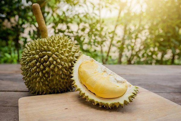 Nếu không có tiếng, hẳn là sầu riêng đực, sẽ bị nhạt và có thể chưa chín đều.