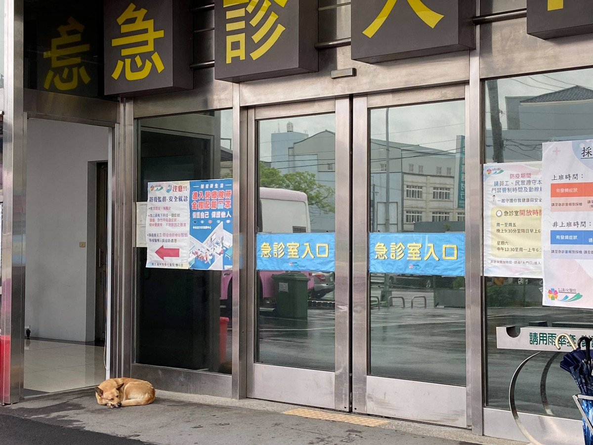 Khi ai đó gọi Tiểu Hoàng, chú chó sẽ vẫy đuôi, đứng dậy và đi về phía họ, để họ chạm vào. Tiểu Hoàng cũng sẽ chủ động dụi đầu vào tay của mọi người giống như để xoa dịu cảm giác của họ, mang đến cho mọi người cảm giác an tâm hơn.