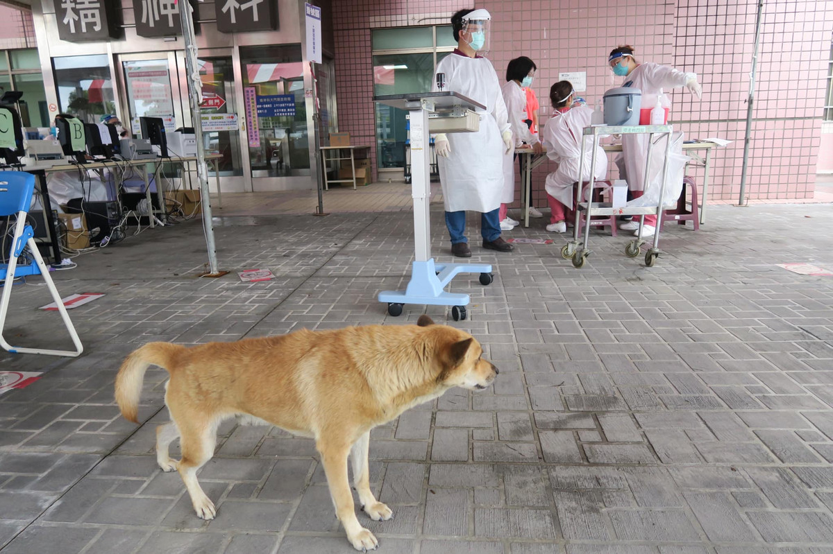 Các nhân viên y tế cho biết, họ không biết Tiểu Hoàng đến từ đâu hay thuộc sở hữu của ai, tuy nhiên trong những ngày căng thẳng nhất của dịch bệnh, bóng dáng của chú chó thân thiện đã mang lại cảm giác ấm áp cho nhiều người.