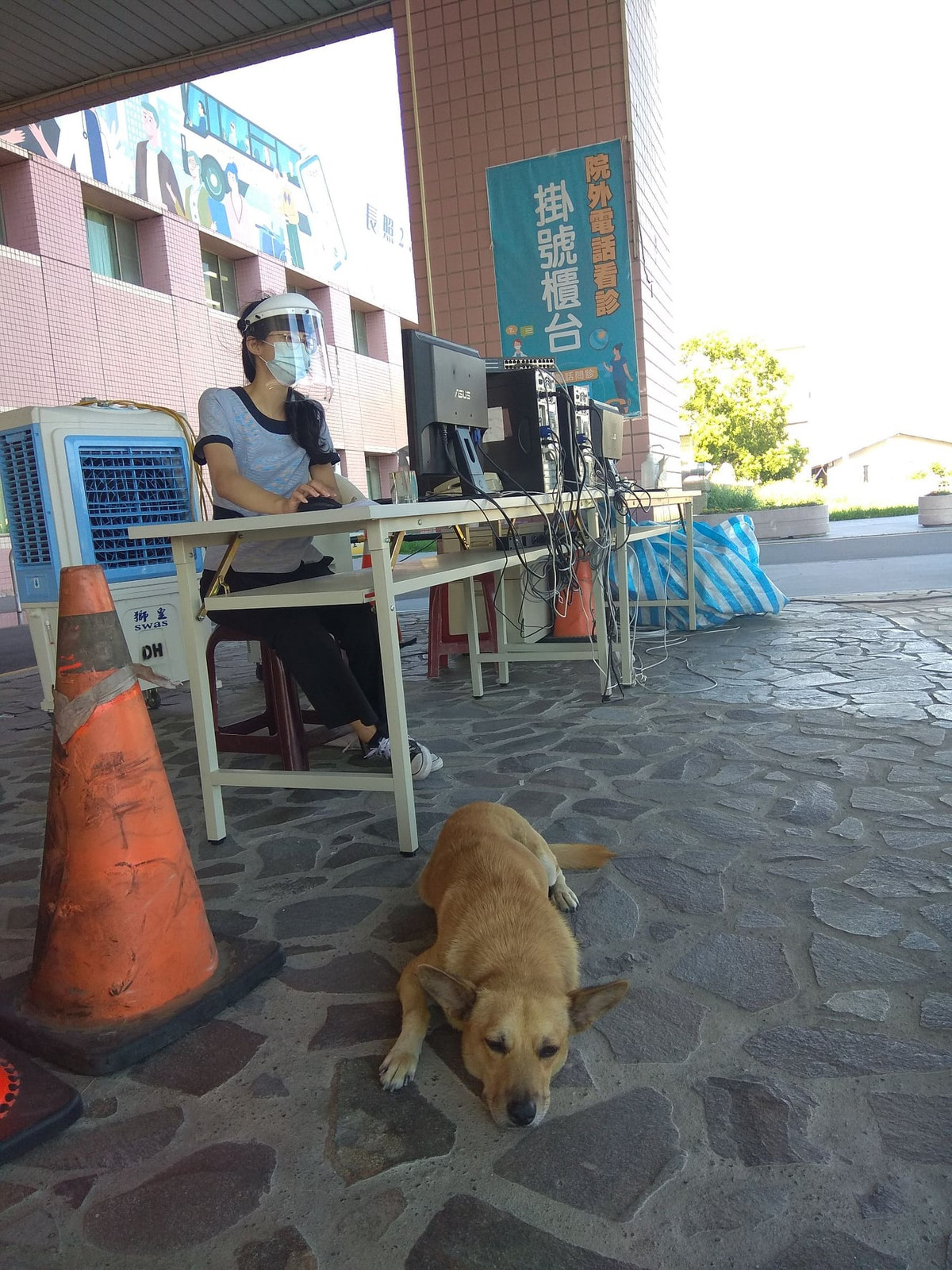 Thi thoảng Tiểu Hoàng cũng ra khu vực kiểm tra ngoài trời và khu tiêm chủng để xem dòng người xếp hàng.