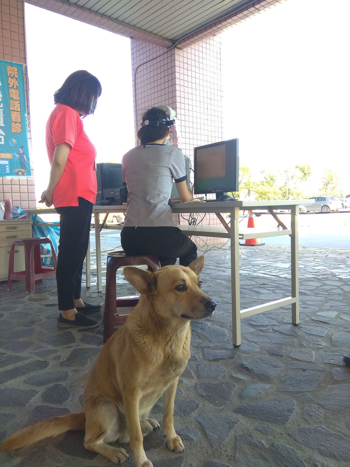 Theo thông tin đăng tải, Bộ Y tế Đài Loan mới đây đã thiết lập một trạm khám ngoài trời ở Chương Hóa. Thú vị là một chú chó màu vàng đã liên tục xuất hiện tại trạm khám, khiến nhiều người cảm thấy đỡ căng thẳng hơn.