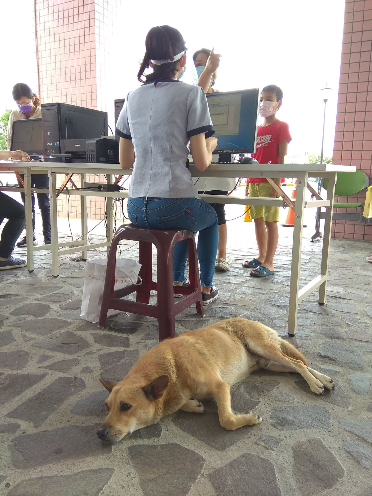 Tiểu Hoàng rất thích nằm cạnh các nhân viên y tế và quan sát mọi người làm việc. Nó cũng hay "hóng hớt" khi có xe cấp cứu chạy tới.