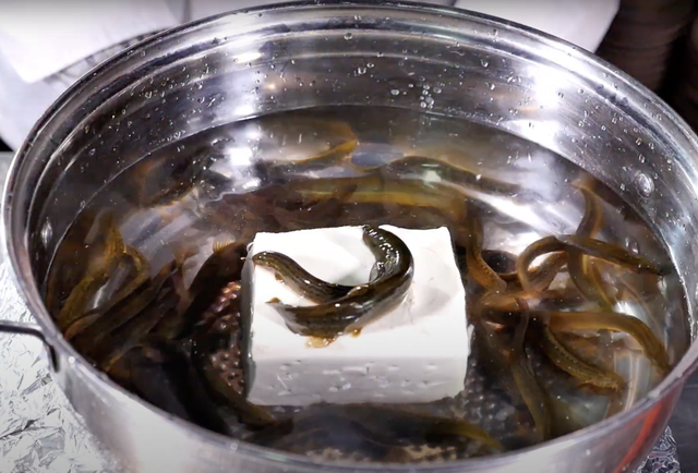 Vì cách chế biến rùng rợn này, món đậu hũ cá chạch còn được xem là một trong những món ăn tàn bạo và ám ảnh nhất thế giới.