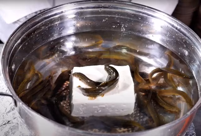 Vì cách chế biến rùng rợn này, món đậu hũ cá chạch còn được xem là một trong những món ăn tàn bạo và ám ảnh nhất thế giới.