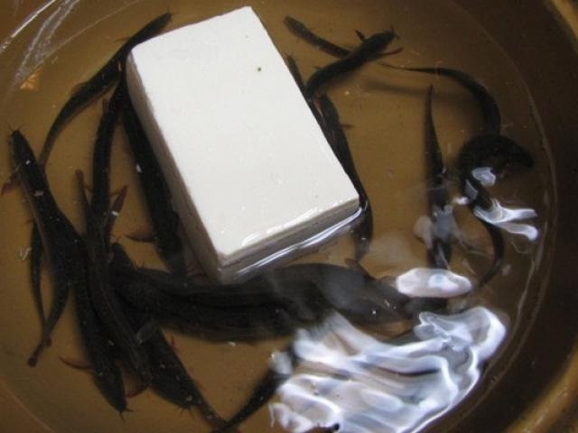 Đầu tiên, đầu bếp đổ nước lạnh vào nồi và thả vào đó những con chạch con còn tươi sống, vẫn còn bơi lội tung tăng. Sau đó nước sẽ bắt đầu được đun nóng.