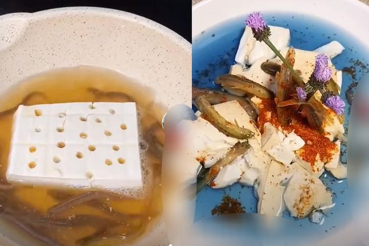 Tuy nhiên, chúng không hề biết, chui vào đậu phụ cũng chỉ là giải pháp tạm thời, chúng đi từ cửa dịa ngục này sang địa ngục khác.