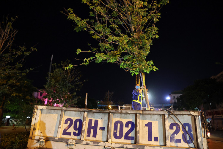 Việc di chuyển trong đêm để tránh thời tiết nắng nóng gay gắt của Hà Nội.