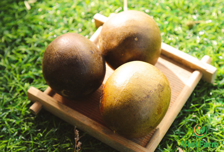 Đáng nói, ngay cả hạt của quả la hán cũng có nhiều hợp chất được chứng minh là có thể ngăn ngừa dị ứng, giảm cơn hen suyễn.