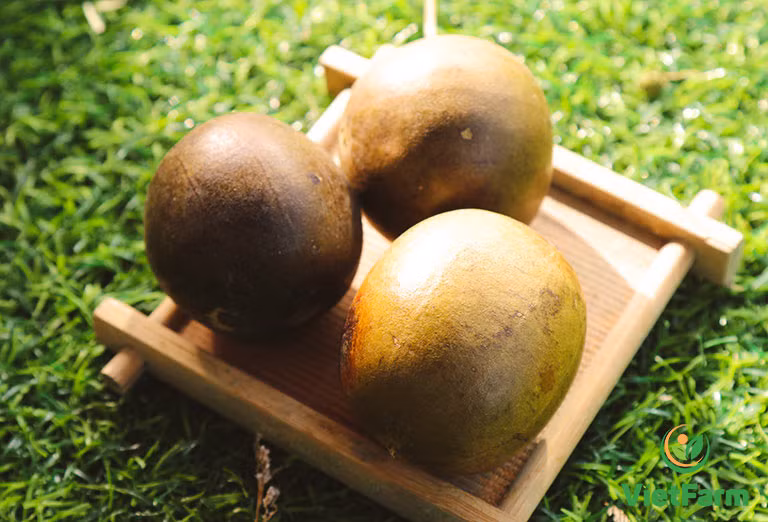 Đáng nói, ngay cả hạt của quả la hán cũng có nhiều hợp chất được chứng minh là có thể ngăn ngừa dị ứng, giảm cơn hen suyễn.