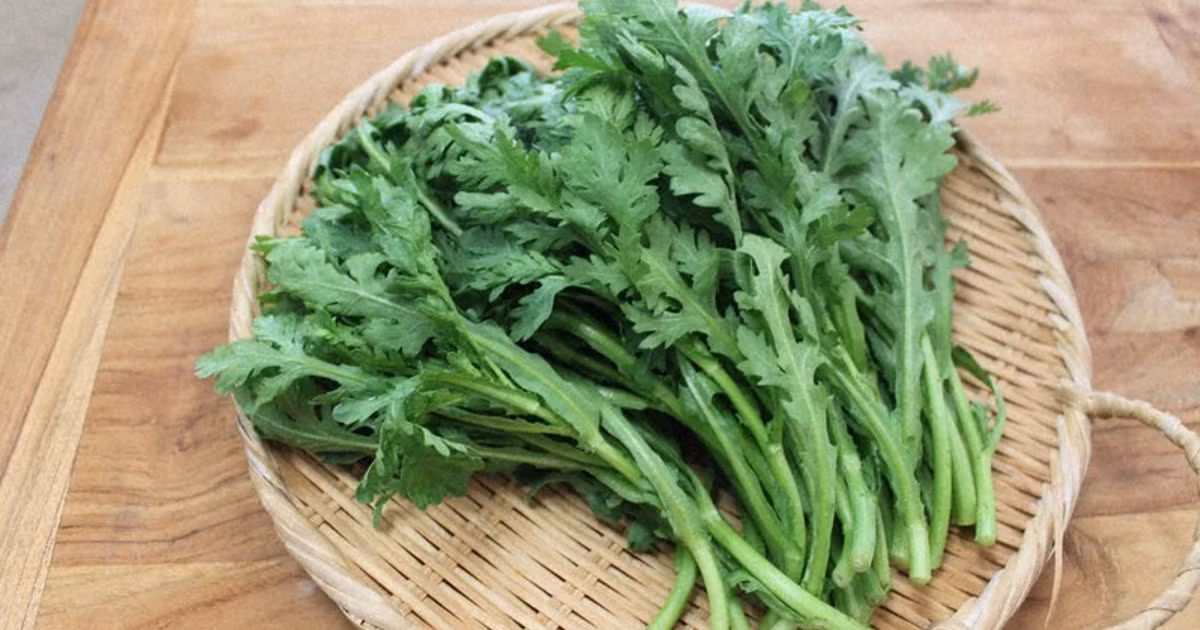 Thường xuyên ăn rau cải cúc sẽ giúp ổn định cảm xúc, bảo vệ não, chống lại triệu chứng mất trí nhớ, thúc đẩy sự thèm ăn, tốt cho tiêu hóa và tăng sự đàn hồi, tái sinh tế bào da, thanh phổ tiêu đờm và nhiều công dụng khác.