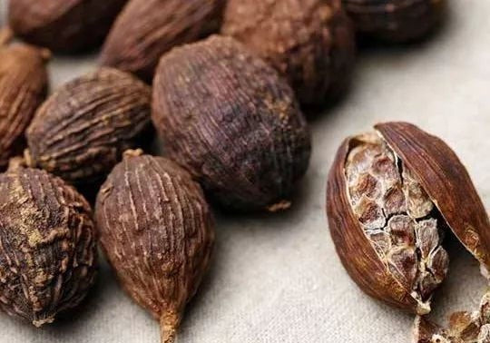 Loại quả này chính là thảo quả, đò ho hay sa nhân cóc, tên khoa học là Amomum tsao-ko, một loài thực vật có hoa thuộc họ Gừng.