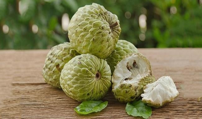 Cách tốt nhất để bảo quản na chính là để ở nơi ít ánh sáng và mát mẻ.