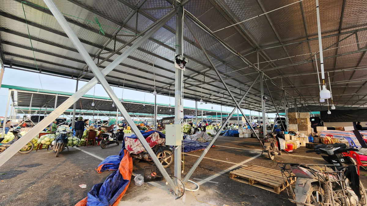 Hung Yen: Chua cap phep, cho nong san Song Hong ngang nhien hoat dong-Hinh-3