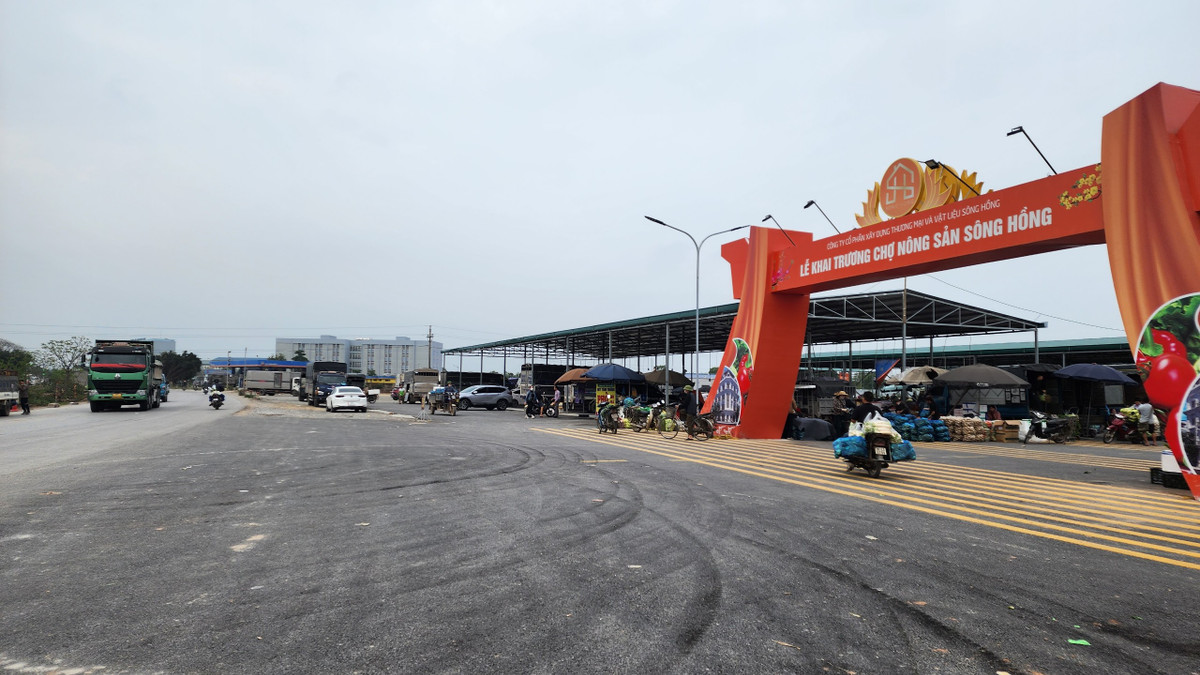 Hung Yen: Chua cap phep, cho nong san Song Hong ngang nhien hoat dong