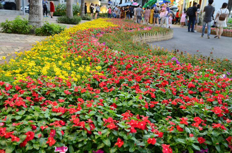 Đường hoa rợp sắc trong khu đô thị lớn nhất TP HCM.