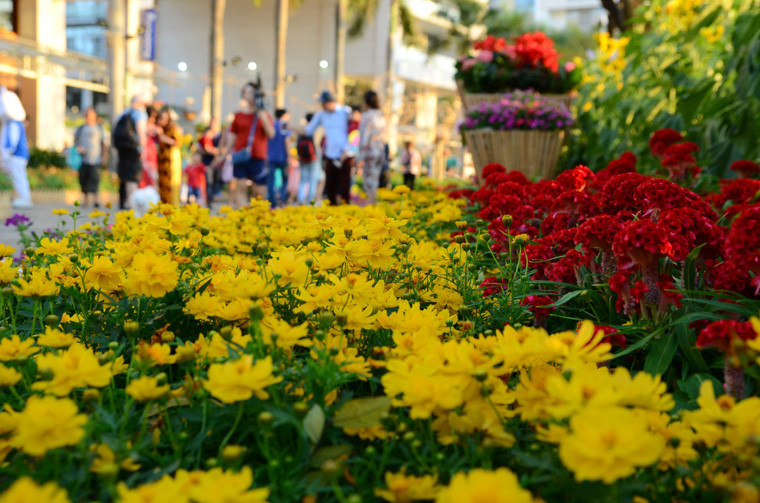 Hình ảnh cánh đồng lúa, bắp cùng những chiếc xe lam, xe thổ mộ, xe đạp, ghe, thuyền chất đầy hoa được tái hiện tại hội hoa xuân ở Sài Gòn làm nhiều người xa quê cảm thấy ấm lòng trong những ngày giáp Tết cổ truyền. 