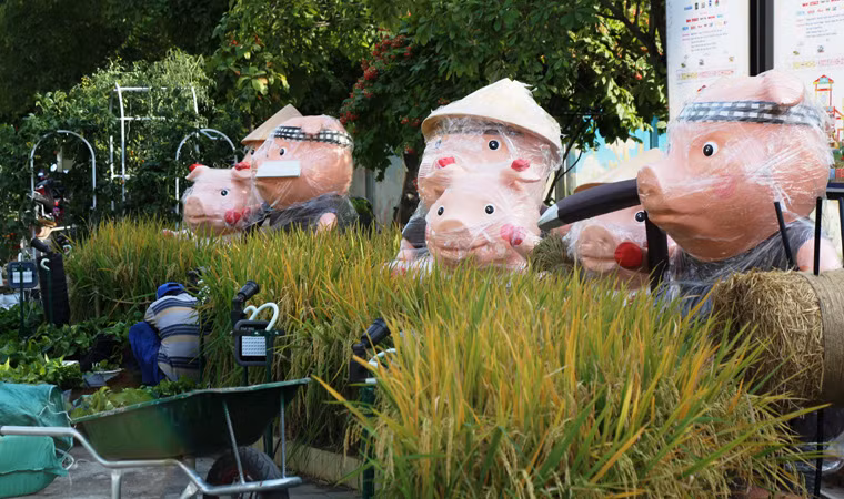 Hàng trăm chú heo ngộ nghĩnh - linh vật năm Kỷ Hợi - tại đường hoa Nguyễn Huệ 2019.