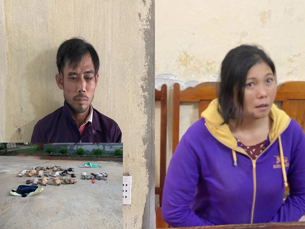 Cap doi “meo ma ga dong” dung chat doc Cyanua danh ba 500kg cho meo khai gi?