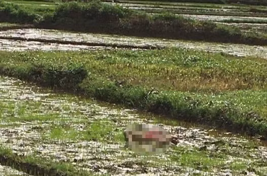 Dieu tra nguyen nhan 3 nguoi tu vong nghi an mang tai Dien Bien