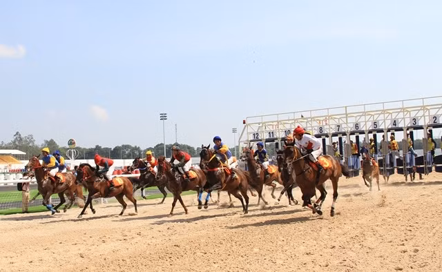 Truong dua ngua nghin ty cua dai gia Binh Duong do so co nao?-Hinh-4