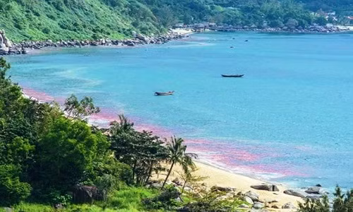 Lam ro thong tin xuat hien dai nuoc do tren bien Da Nang