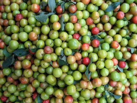 3. Mận Cũng như hai loại quả trên, hàng năm cứ vào dịp tháng 3, đầu tháng 4, nhiều tuyến phố Hà Nội tràn ngập những trái mận xanh, với vị chua chát nhưng hết sức quyến rũ. Ảnh: Internet.