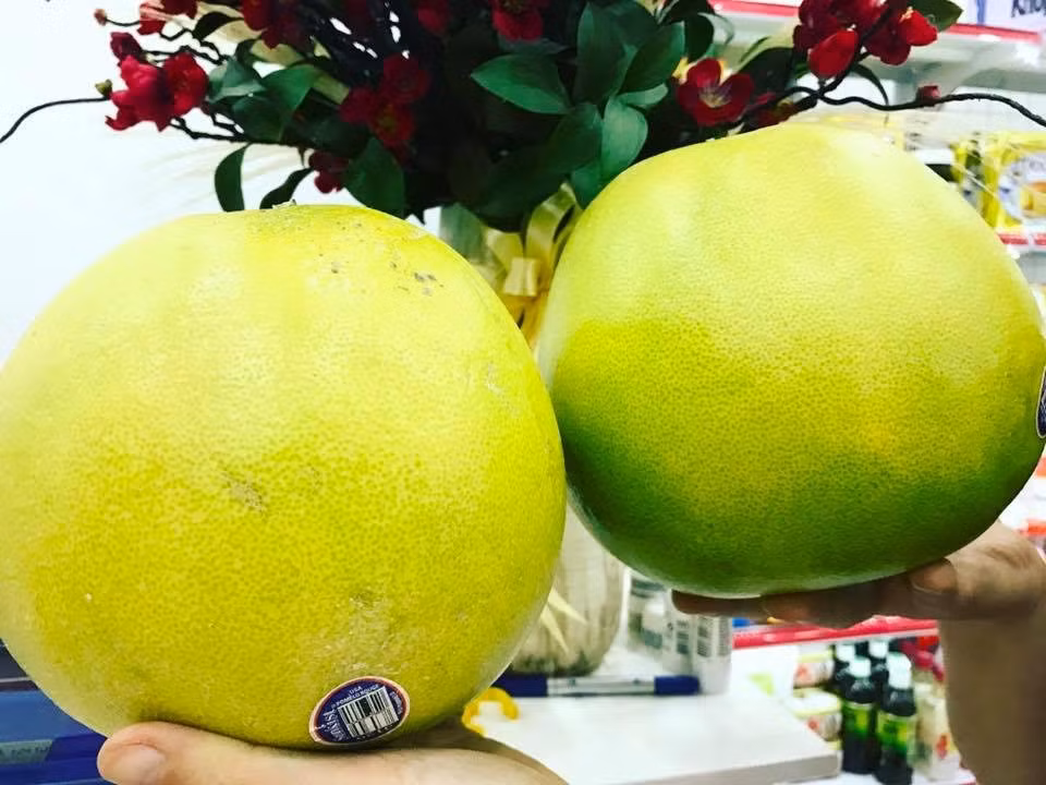  Bưởi Mỹ Một trong những loại bưởi nhập giá "chát" được chị em săn lùng trên thị trường hiện nay phải kể đến loại bưởi Mỹ nhập khẩu giá lên đến hơn nửa triệu đồng/quả. Ảnh: VietnamNet.