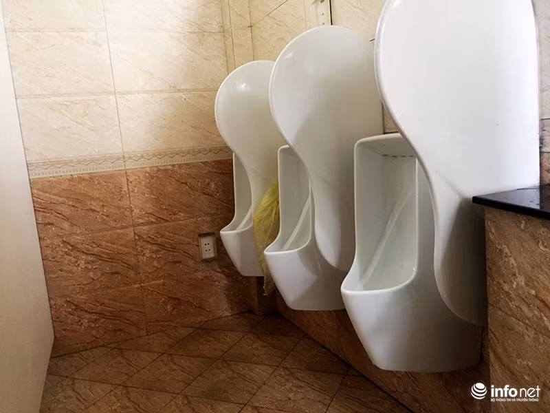 Mỗi ngày sẽ có hai nhân viên chia 2 ca trông coi và dọn dẹp những nhà vệ sinh này.