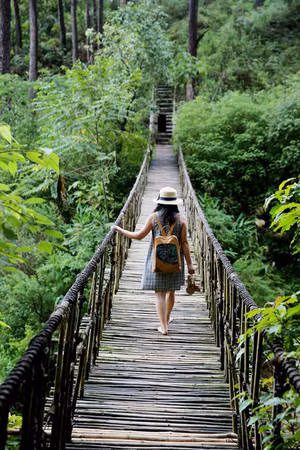Đây là nơi du khách có thể đắm mình trong thiên nhiên, tham gia những hoạt động nhẹ nhàng như đi bộ đường rừng, cắm trại hoặc khám phá văn hóa của người dân tộc K’ho bản địa. Tất cả tạo nên một không gian tuyệt vời để tìm lại sự yên bình. Ảnh iViVu